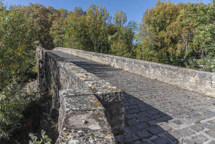 Pamplona 066 - puente de la Magdalena.jpg